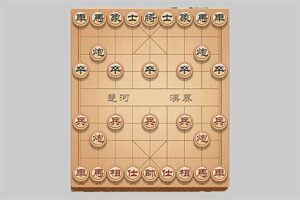 少年得到《0基础少年象棋课》